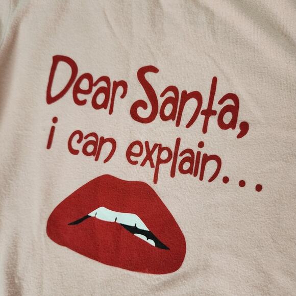 NEW Wildfox Dear Santa I Can Explain Baggy Jumper Christmas Sweatshirt - Picture 8 of 9